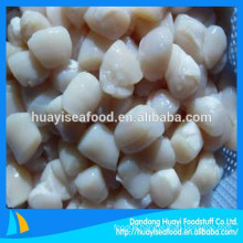 main raw material frozen bay scallop